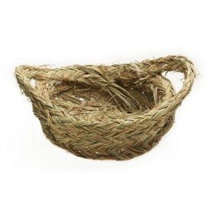 cropped-Icono-Esparto.jpg